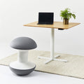 Zaor Studio Furniture srl chairs Humanscale Ballo Chair